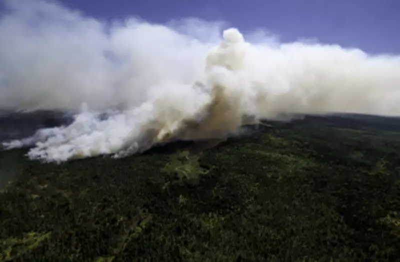 N.S. Wildfire Extinguished After Nearly 10 Months