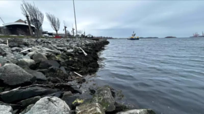 Ocean Week Halifax Kicks Off with Harbour Cleanup Event