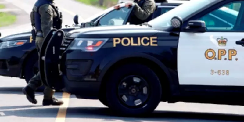 One Dead in Overnight Crash on Highway 400 in Carling Township