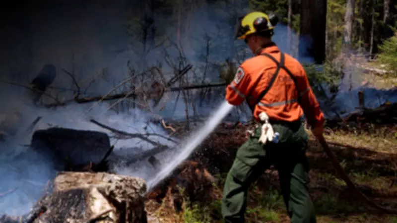 One Wildfire Near Sudbury Remains Out of Control as High Winds Fuel Blaze