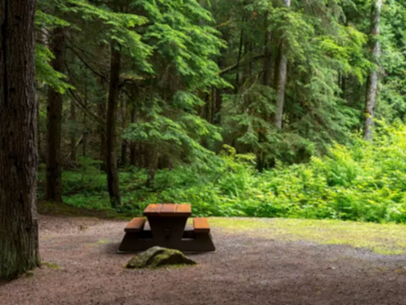 Ontario Judge Bans 11-Year-Old Girl from Nudist Camps Over Safety Concerns