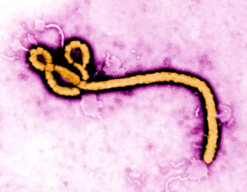 Ontario Tests Person for Ebola After Recent Travel to East Africa
