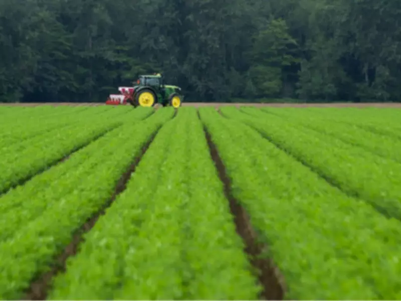 Opinion: Mother's Day Not All Celebration for B.C. Farm-Worker Women