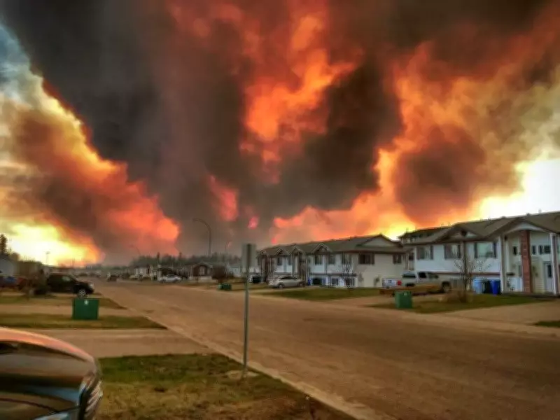 Opinion: National wildfire strategy needed to prevent another disaster
