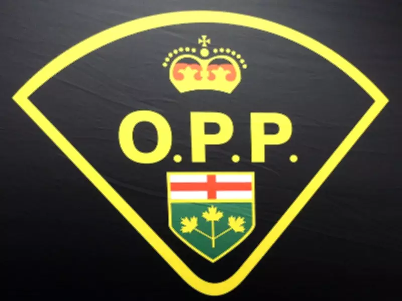 OPP and Fire Marshal Investigate Suspicious Lakeshore Fire