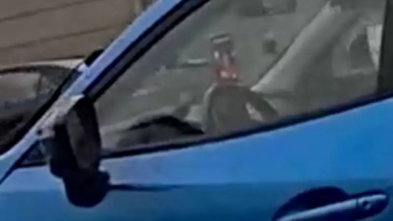OPP Charge Driver Filming Self on Hwy. 417 in Ottawa