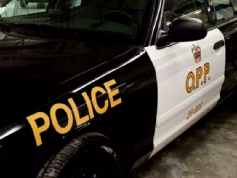 OPP Investigate After Bullet Found on School Grounds in Palmerston