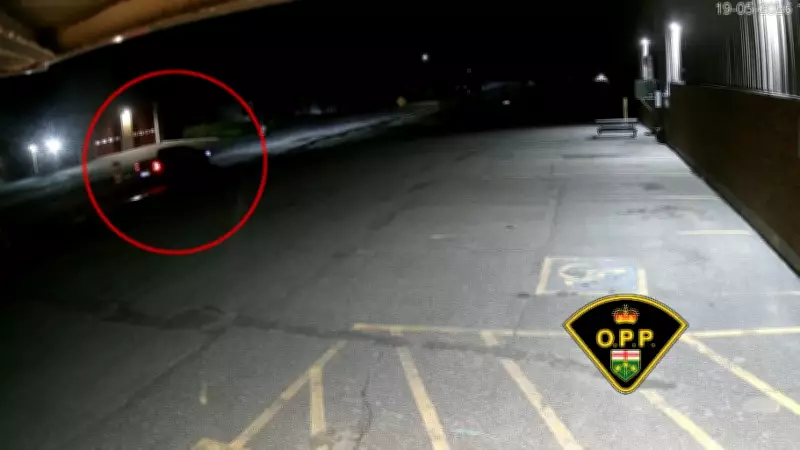 OPP seek public's help after northern Ontario lumber theft