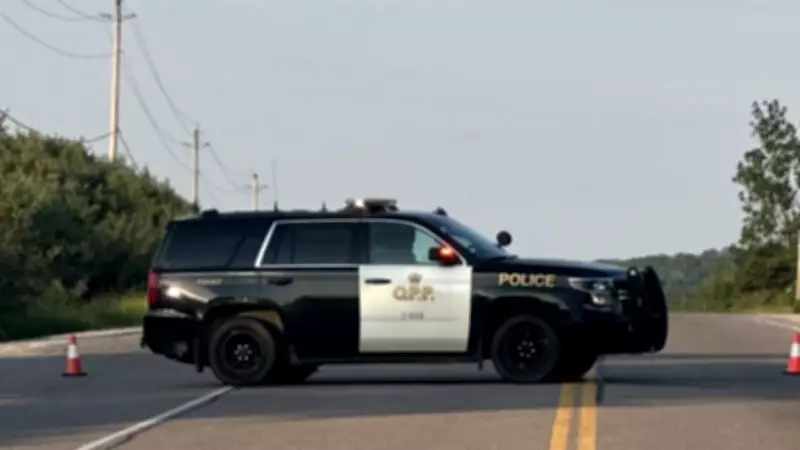 OPP Seek Witnesses in Serious Caledon Crash on Highway 9