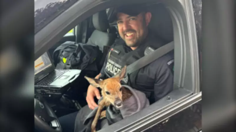 Orphaned Fawns Rescued by Police After Mother Deer Killed Near Strathroy