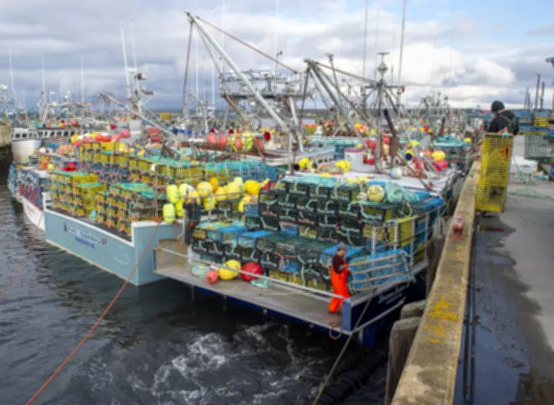 Ottawa Seeks Proposals to Clean Up 'Ghost Gear' in Canadian Waters