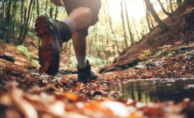 Ottawa Summer Hiking: 4 Trails and Tips for 2026