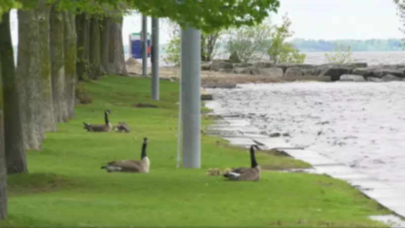 Ottawa's 20°C Streak Continues: Warm Weather Persists in Capital