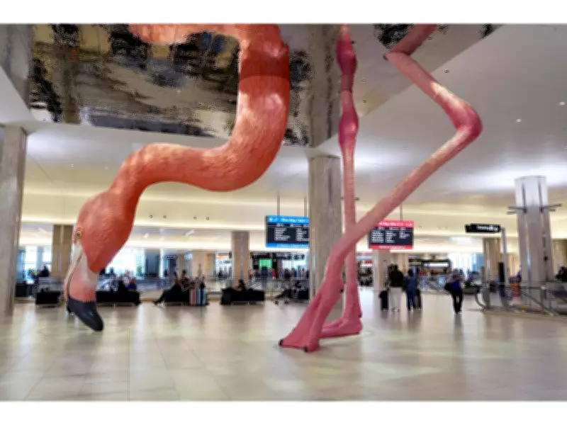Pattison Outdoor US Partners with Tampa International Airport in Historic Deal