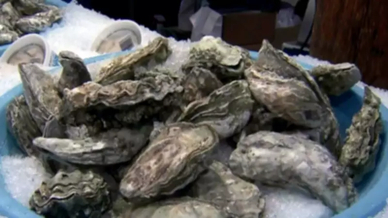 P.E.I. Offers $3M to Oyster Fishers Hit by MSX and Dermo Diseases