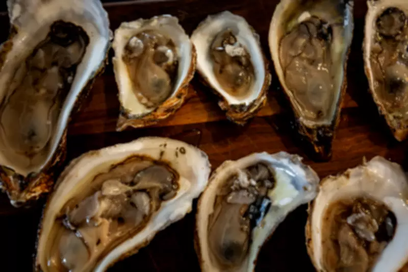 PEI Oyster Fishers Face Major Challenges from MSX and Dermo Diseases