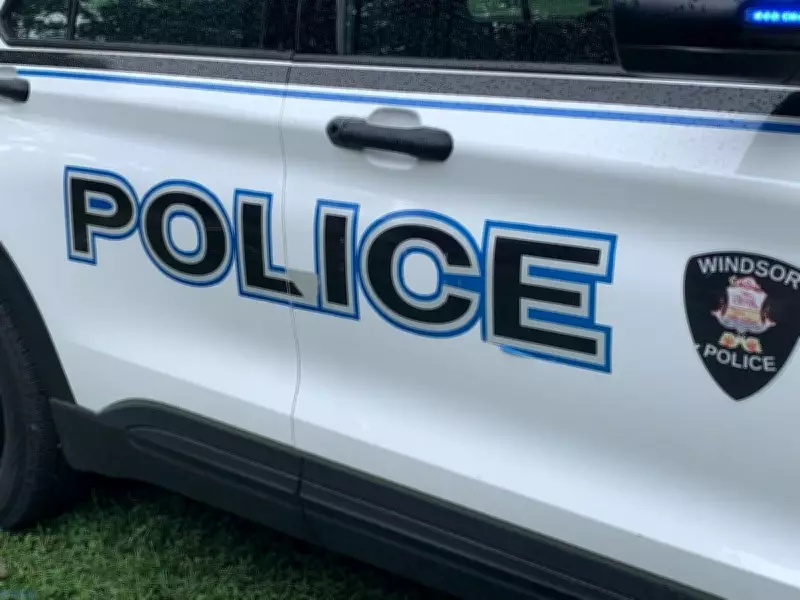 Police Arrest Two Suspects in Windsor Car Theft and Break-In Case