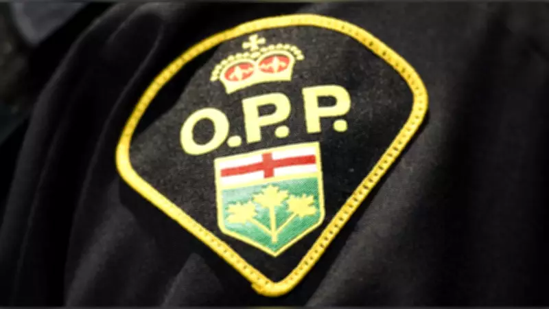 Police Chase Suspect Through Northern Ontario Woods After Mansfield Hit-and-Run