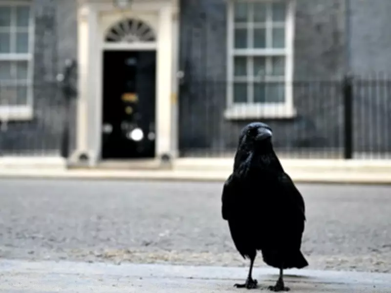 Possible contenders in UK Labour Party leadership race
