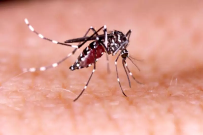 Rainy Spring Brings More Mosquitoes Earlier This Year, Expert Says