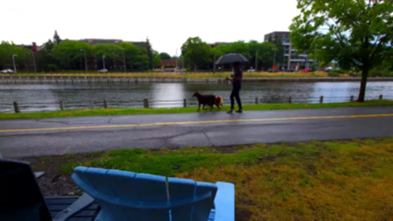 Rainy Wednesday Forecast for Ottawa with Showers Expected