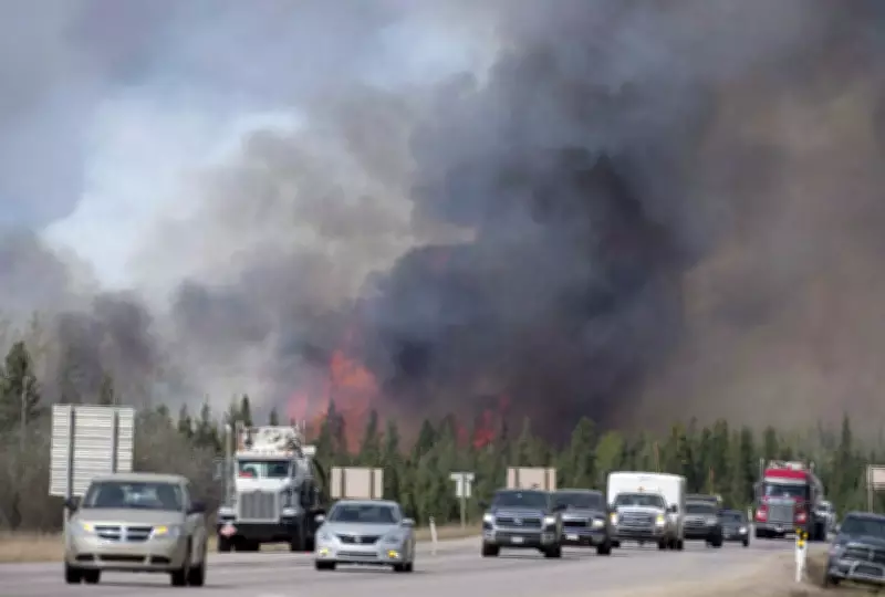 Recalling the 2016 Fort McMurray Wildfire: A Decade of Reflection
