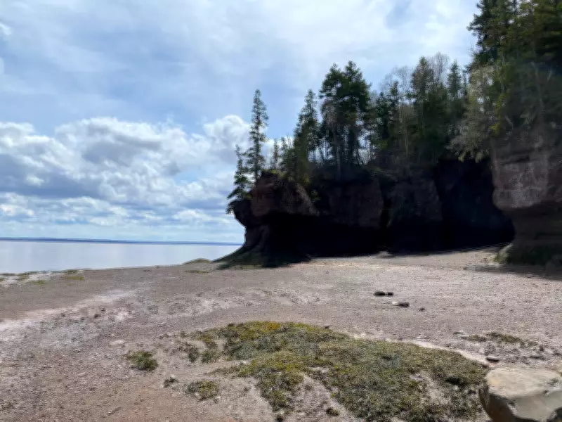 Research team studies erosion at Hopewell Rocks in New Brunswick