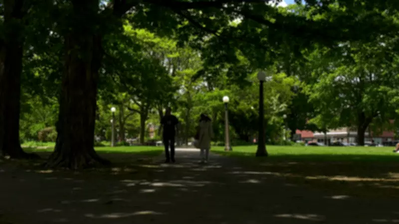 Revitalization Project Coming to Centretown Park in Ottawa
