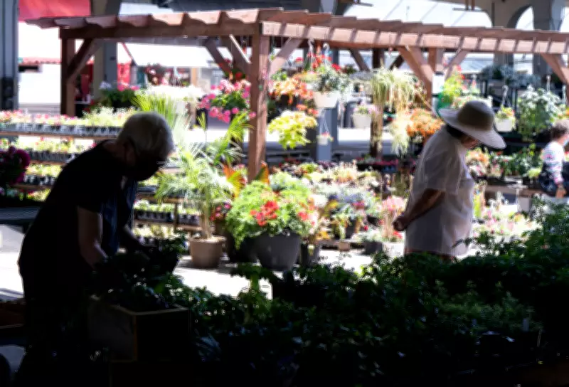 Rising Fuel Costs Hurt Montreal Garden Centres Ahead of Mother's Day