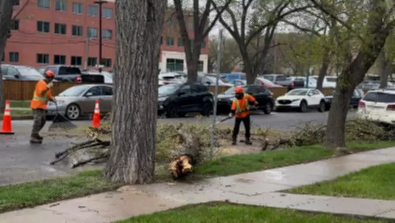 Saskatchewan Communities Hit Hardest by Thursday's Extreme Winds
