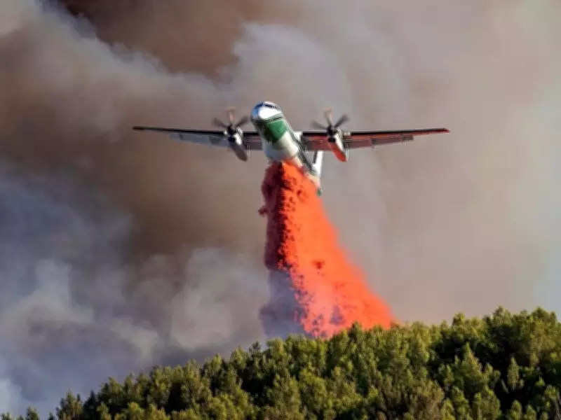 Saskatchewan Prepares for Wildfire Season After Human-Caused Fires in 2025