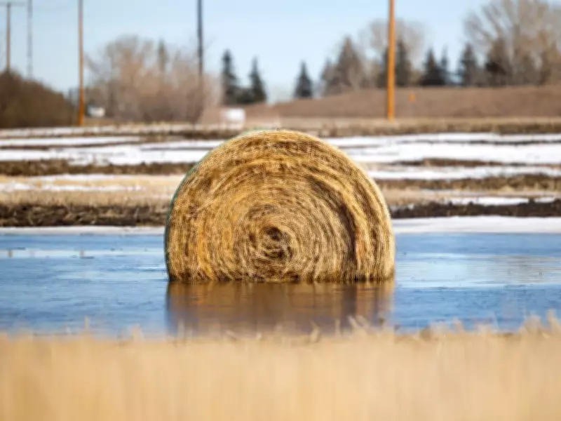 Saskatoon in Photos: Memorable Moments from April 2026