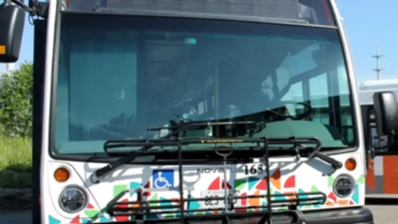 Sault Ste. Marie to Overhaul Transit Routes with 'Sault Loops' Launch