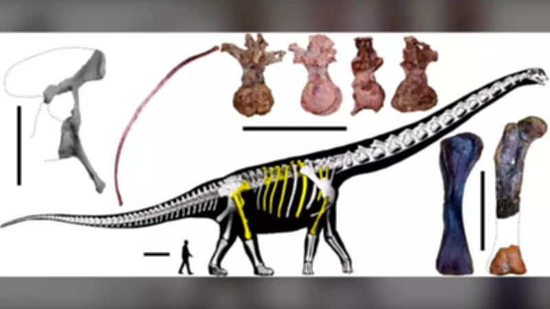 Scientists Unearth Southeast Asia's Largest Dinosaur in Thailand