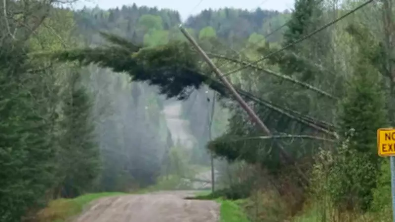 Severe Storm in Mattawa Knocks Out Power, Downs Trees and Hydro Poles