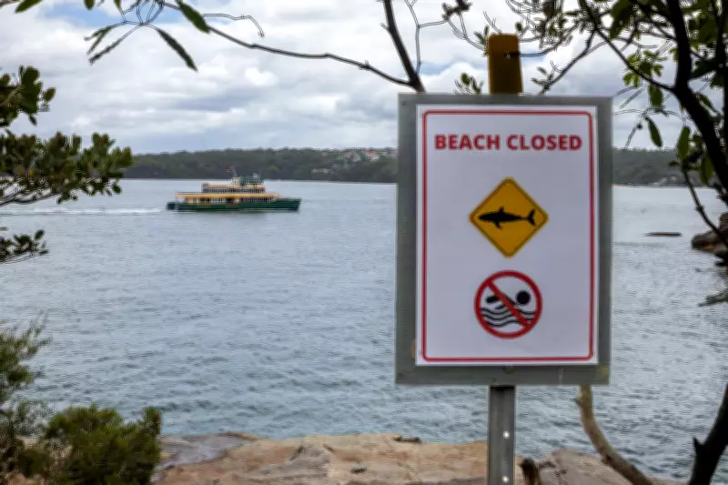 Shark Attack Kills Spearfishing Diver Off Australia's Rottnest Island