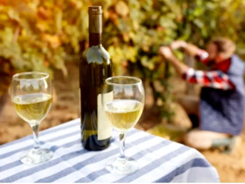 Shift into Spring with These White Wine Styles for Every Palate