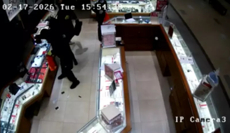 Smash-and-Grab Robberies Caught on Video, 7 Suspects in Custody: Halton Police