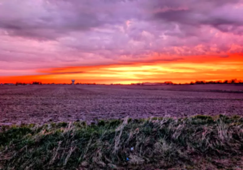 Southern Ontario Weather Swings from Heat Warnings to Frost Advisory