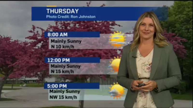 Sunny Stretch Ahead: London Weather Forecast Promises Comfortable Temps