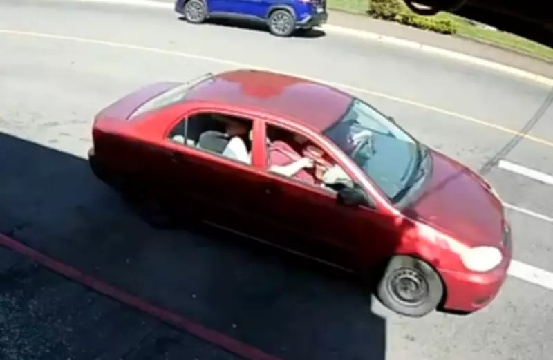 Suspects Sought in Targeted BB Gun Attack on Vancouver Island