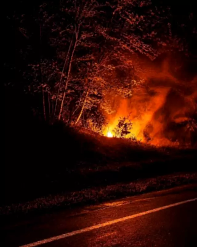 Suspicious Brush Fire Near Coombs Prompts RCMP Investigation