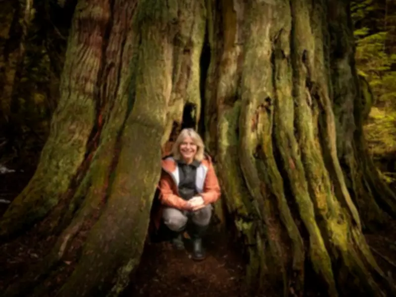 Suzanne Simard Digs Deep into Forest Renewal in New Book