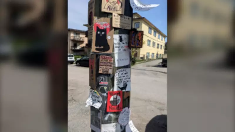 '#TeamNigel': The cat creating community in East Vancouver
