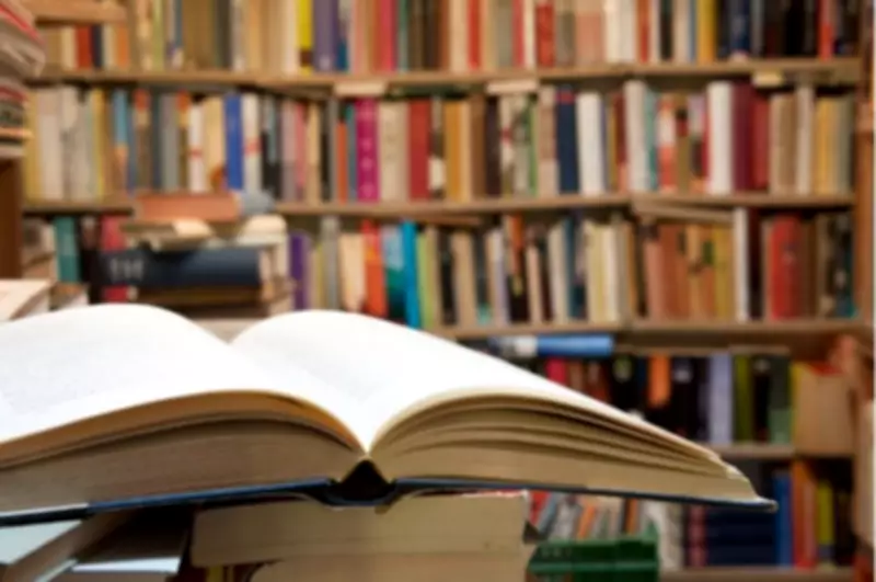 Three Overlooked Books from the Past Decade, According to a Librarian
