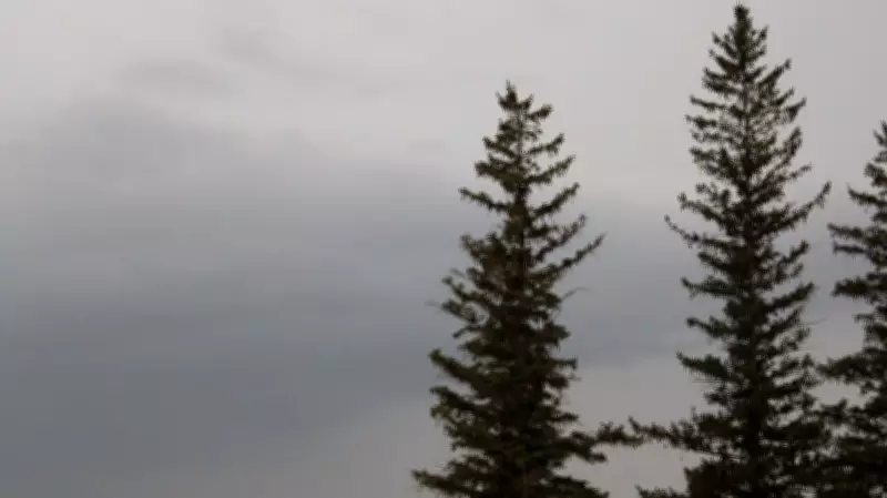 Thunderstorm Watch Issued for Southwest Saskatchewan
