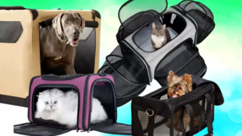 Top 8 Pet Carriers for Safe and Comfortable Travel with Your Furry Friend