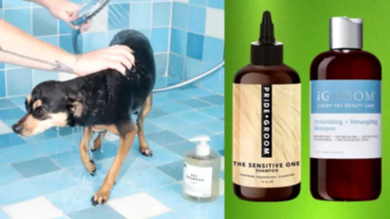 Top Pet Shampoos Recommended by Expert Groomers for Healthy Coats