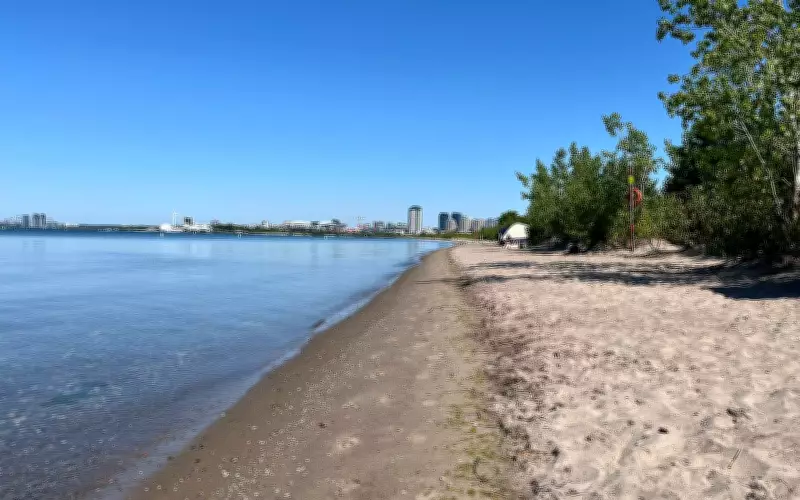 Toronto Beach Erosion: Advocacy Group Urges Faster City Action
