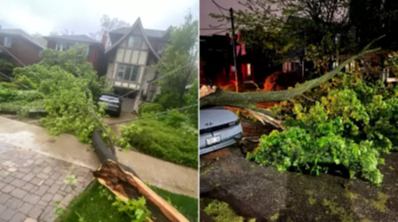 Toronto Cleanup Underway After Severe Rainstorm Causes 672 Emergencies